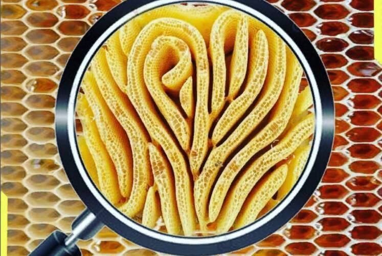 Пчелиные соты в форме отпечатка